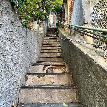 Maisonnette Avec Escalier Menton
