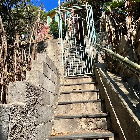 Maisonnette Avec Escalier *